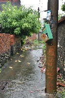 大林蒲—雨天景象-3藏品圖，第1張