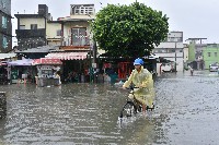 大林蒲—淹水-4藏品圖，第1張