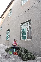 大林蒲—織網-1藏品圖，第1張