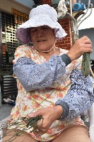 大林蒲—織網-2藏品圖，第1張