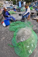 鳳鼻頭漁港漁民工作景象-3藏品圖，第1張