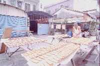 鳳森里居民曬烏魚子藏品圖，第1張