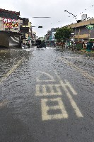大林蒲-淹水藏品圖，第1張