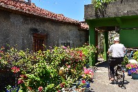 大林蒲-新市場巷巷弄風景-3藏品圖，第1張