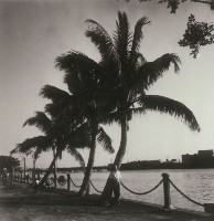 南國情調－愛河風光-1藏品圖，第1張