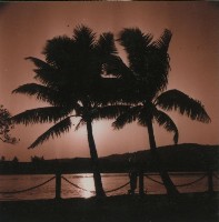 南國情調－愛河風光-2藏品圖，第1張