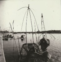 愛河風光-捕魚藏品圖，第1張