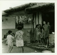 沿海人家-楠梓區援中港藏品圖，第1張