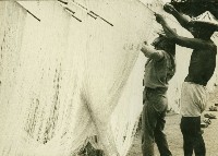 晒麵線-左營-2藏品圖，第1張