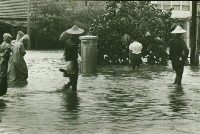 1962年7月23日凱蒂颱風襲高雄中正路打通前舊郵總局前-2藏品圖，第1張