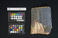 抄清簿 昌源藏品圖，第2張