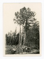 洪宜一與大學同學至阿里山遊玩留影藏品圖，第1張