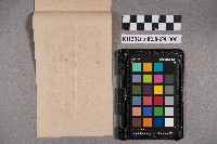 吉田生致洪見濤之書信藏品圖，第2張