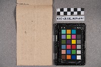 吉田生致洪見濤之書信藏品圖，第4張