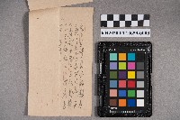 吉田生致洪見濤之書信藏品圖，第5張