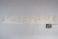 洪文發致○○○之書信藏品圖，第3張