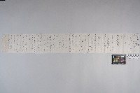 洪文發致○○○之書信藏品圖，第4張