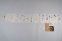 洪文發致○○○之書信藏品圖，第10張