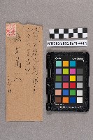 松本大郎致洪見濤之書信的圖片