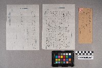 松本大郎致洪見濤之書信藏品圖，第7張