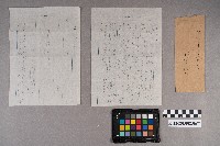 松本大郎致洪見濤之書信藏品圖，第8張