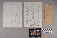 松本大郎致洪見濤之書信藏品圖，第7張