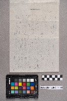 松本大郎致洪見濤之書信藏品圖，第6張