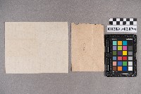 廖碧珠至周蘭女士之書信藏品圖，第6張