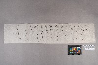 伶○宗○致洪見濤之書信的圖片