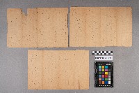 園田能男致洪新發之書信藏品圖，第8張