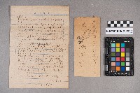 謝桂芳致洪慧娥之書信藏品圖，第5張