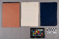 洪新發致林仲英之書信藏品圖，第8張