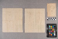 謝慧娥致洪新發之書信藏品圖，第8張