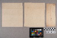 謝慧娥致洪新發之書信藏品圖，第8張