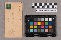 謝慧娥致洪新發之書信的圖片
