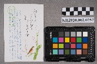 北島君子致謝慧娥之明信片藏品圖，第2張