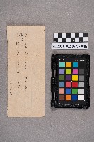 同學寄給旗山郡六龜庄六龜雜貨店洪家的日常書信藏品圖，第3張