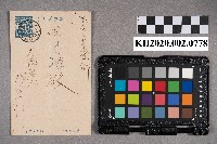 ○○○致洪見濤之明信片的圖片