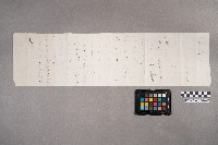 根東正義致洪進發之書信藏品圖，第4張