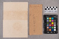 陳竹模致洪見濤之書信藏品圖，第6張