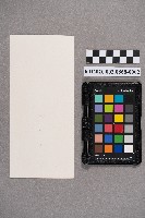 張堉乾、楊靜致洪新發先生夫人之賀年卡藏品圖，第4張