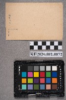 洪見萬訃聞藏品圖，第2張