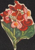 紙類玩具藏品圖，第5張