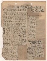 選舉相關剪報彙集藏品圖，第22張