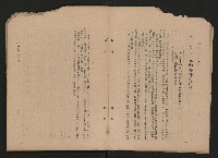 《彈指一年集》
（高雄市政叢書一）藏品圖，第13張