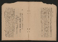 《彈指一年集》
（高雄市政叢書一）藏品圖，第25張