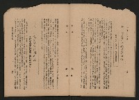 《彈指一年集》
（高雄市政叢書一）藏品圖，第29張