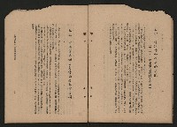 《彈指一年集》
（高雄市政叢書一）藏品圖，第34張