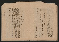 《彈指一年集》
（高雄市政叢書一）藏品圖，第37張