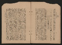 《彈指一年集》
（高雄市政叢書一）藏品圖，第38張